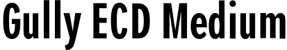 Gully ECD Medium font - Gully-ECDMedium.otf