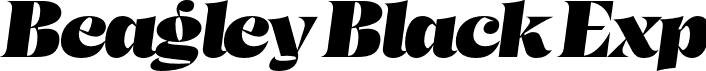 Beagley Black Exp font - Beagley Expanded Italic.otf