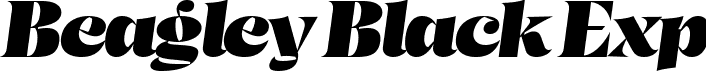 Beagley Black Exp font - Beagley Expanded Italic.ttf