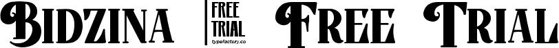 Bidzina - Free Trial font - BidzinaFreeTrial-Rpx06.ttf
