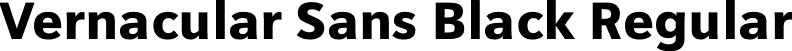 Vernacular Sans Black Regular font - VernacularSans-Black.otf