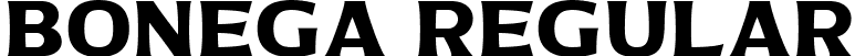 Bonega Regular font - Bonega-Regular.ttf