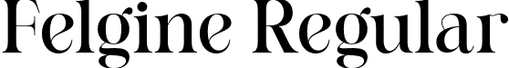 Felgine Regular font - Felgine-Regular.otf