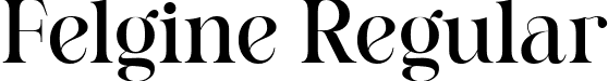 Felgine Regular font - Felgine-Regular.ttf