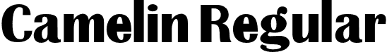 Camelin Regular font - Camelin.otf