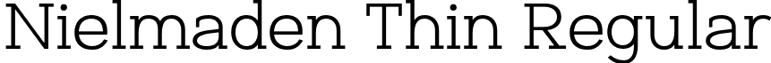 Nielmaden Thin Regular font - Nielmaden-Thin.otf