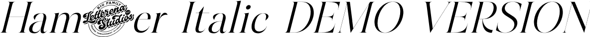 Hamster Italic DEMO VERSION font - Hamster-Italic-DEMO-VERSION.otf