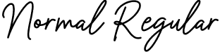 Normal Regular font - Avelina Script Font.ttf