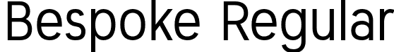 Bespoke Regular font - Alaska-Drizzle.otf