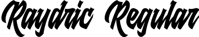 Raydric Regular font - Raydric.otf