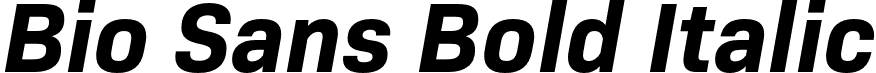 Bio Sans Bold Italic font - Flat-it - Bio Sans Bold Italic.otf