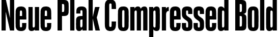 Neue Plak Compressed Bold font - NeuePlak-CompBold.ttf