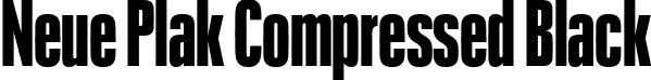 Neue Plak Compressed Black font - NeuePlak-CompBlack.ttf