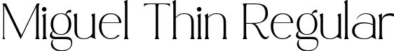 Miguel Thin Regular font - Miguel Thin.otf