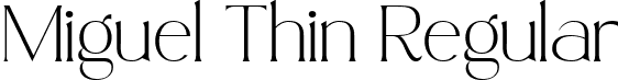 Miguel Thin Regular font - Miguel Thin.ttf