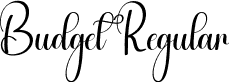 Budget Regular font - Budget.otf