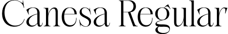 Canesa Regular font - Canesa-Regular.otf