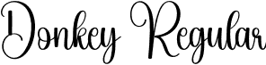 Donkey Regular font - Donkey.otf