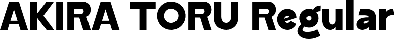 AKIRA TORU Regular font - akiratoru.otf