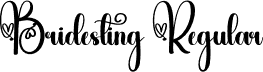 Bridesting Regular font - Bridesting.otf