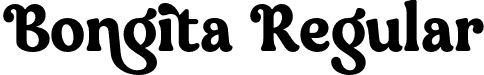 Bongita Regular font - bongita.otf