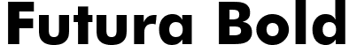 Futura Bold font - unicode.futurab.ttf