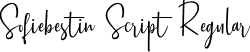 Sofiebestin Script Regular font - Sofiebestin Script_Demo.ttf