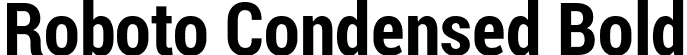 Roboto Condensed Bold font - RobotoCondensed-Bold.ttf
