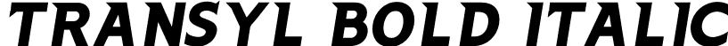 Transyl Bold Italic font - Transyl-BoldItalic.otf
