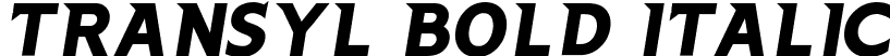 Transyl Bold Italic font - Transyl-BoldItalic.ttf
