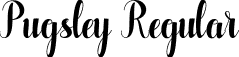 Pugsley Regular font - Pugsley.ttf