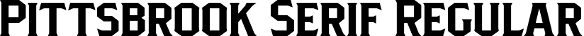 Pittsbrook Serif Regular font - Pittsbrook DEMO.ttf