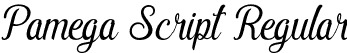 Pamega Script Regular font - Pamega demo.otf