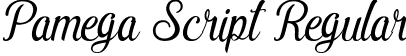 Pamega Script Regular font - Pamega demo.ttf