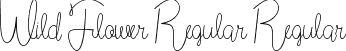 Wild Flower Regular Regular font - Wild Flower Regular.ttf