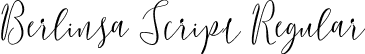 Berlinsa Script Regular font - Berlinsa Script.ttf