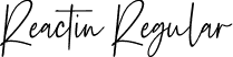 Reactin Regular font - Reactin.ttf