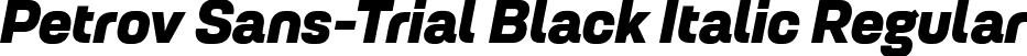 Petrov Sans-Trial Black Italic Regular font - PetrovSans-Trial-BlackItalic.ttf