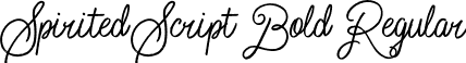 Spirited Script Bold Regular font - Script Bold.otf