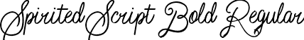 Spirited Script Bold Regular font - Script Bold.ttf