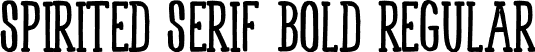 Spirited Serif Bold Regular font - Serif Bold.otf