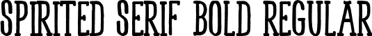 Spirited Serif Bold Regular font - Serif Bold.ttf