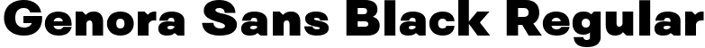 Genora Sans Black Regular font - Pixesia Studio - Genora Sans Black.ttf