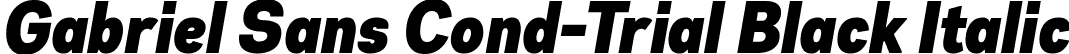 Gabriel Sans Cond-Trial Black Italic font - GabrielSansCond-Trial-BlackItalic.ttf