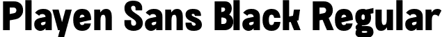 Playen Sans Black Regular font - PlayenSans-Black.otf