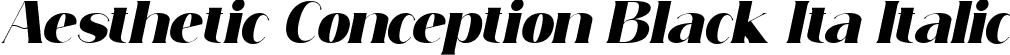 Aesthetic Conception Black Ita Italic font - Simply Conception Black Italic.ttf