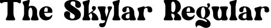 The Skylar Regular font - The Skylar 2.ttf