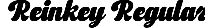 Reinkey Regular font - Reinkey.ttf