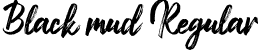 Black mud Regular font - Blackmud-VGoOx.ttf