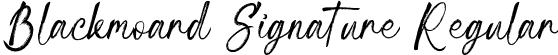 Blackmoard Signature Regular font - Blackmoard Signature.ttf